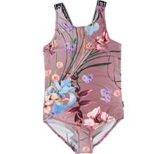 Orchid New arrivals